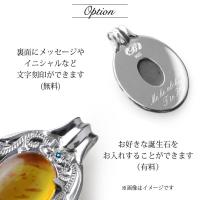 CG-SP301-1 写真11