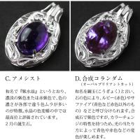 SP-301-1 写真3