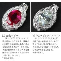 SP-301-1 写真8