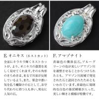 CG-SP301-1P 写真4