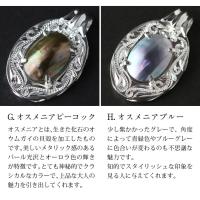 CG-SP301-1P 写真5