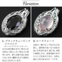 SP301-1P 写真2