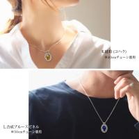SP301-1P 写真14