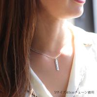 SP10702-10802P 写真3