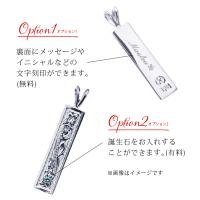 CG-SP10702P 写真5