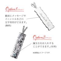 CG-SP10801 写真5