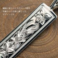 SP10802 写真2