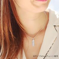 SP10809P 写真3