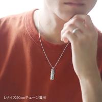 SP11009 写真9