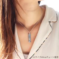 SP11201 写真3