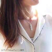 SP11201P 写真8