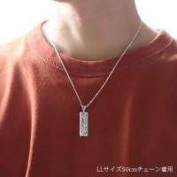 SP11202 写真4