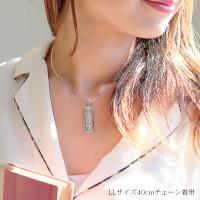 SP11202 写真8