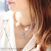 SP11202P 写真3