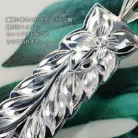 CG-SP11209 写真2