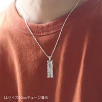 CG-SP11209 写真4