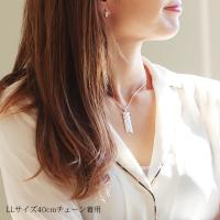 CG-SP11209 写真8