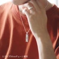 CG-SP11209P 写真9