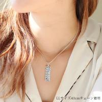 SP11209P 写真3