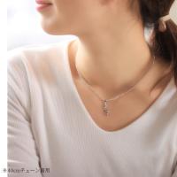CG-SP88118 写真3