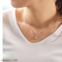CG-SP88128 写真4