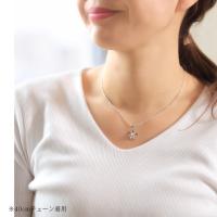 SP88128 写真3