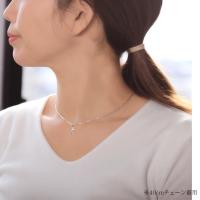 CG-SP21601 写真3