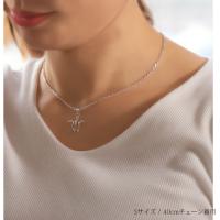 CG-SP21701-SP24601P 写真3