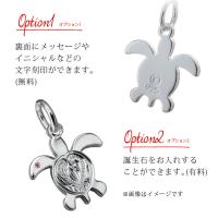CG-SP22901P 写真5