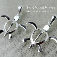 SP24601-SP24701P 写真2