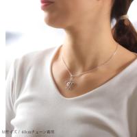 SP24601-SP24701P 写真3