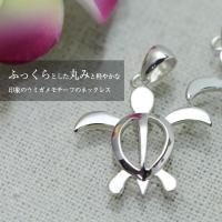 CG-SP24601P 写真2