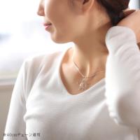 SP24701 写真3