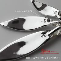 CG-SP2509 写真9