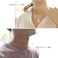 SP2512P 写真6