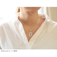CG-SP2524 写真5