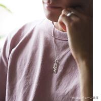SP2526P 写真4