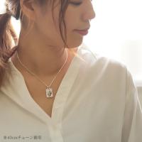 CG-SP2550P 写真3