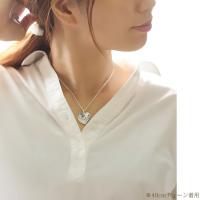 CG-SP2587 写真4