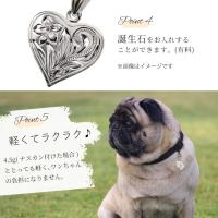 SP2661-PET 写真5