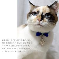 SP2661-PET 写真6