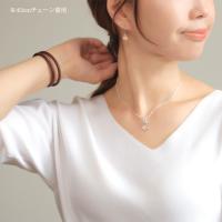 CG-SP2699-C 写真3