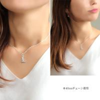 SP2699-L 写真3