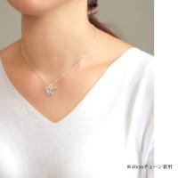 SP2699-W 写真3