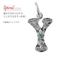 CG-SP2699-Y 写真6