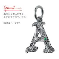 CG-SP2699-A 写真6
