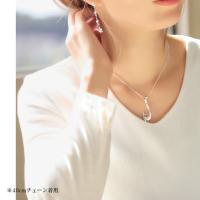 SP2724 写真3