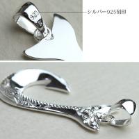 CG-SP2725 写真9
