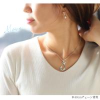 SP2725 写真3