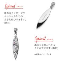 SP2803 写真5